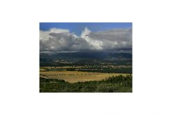 Large grow site on Round Valley Indian Reservation busted