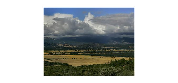 Large grow site on Round Valley Indian Reservation busted