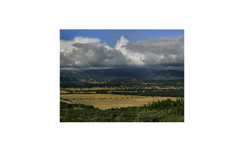 Large grow site on Round Valley Indian Reservation busted