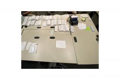 Couple with stolen car, stolen mail, fraudulent documents