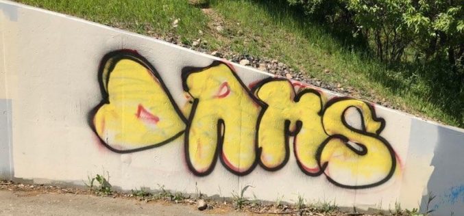 Red Bluff man expected to face charges of felony vandalism