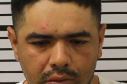 Stolen Vehicle Recovery System Assets in Capture of Auto Theft Suspects