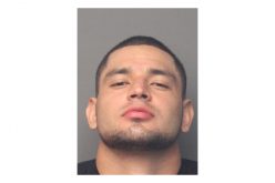 Man Arrested for Vehicular Manslaughter After Fatal Hit and Run