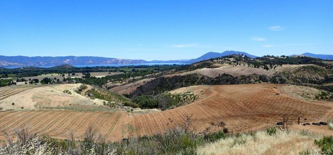 Large illegal marijuana grow site discovered