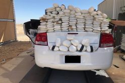Border Patrol Apprehends Sex Offender and Seizes Drugs in Two Separate Events