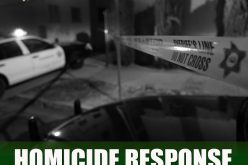 911 Domestic-Violence Call Response – Suspect Attempts to Gain Control of Deputy’s Firearm