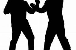 Man Faces 11 Charges Stemming from an Assault and Robbery