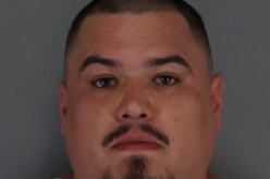 Nunchaku and gun seized in gang arrest