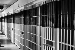 Man Detained for a Stolen License Plate Arrested on a Warrant for Burglary