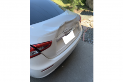 Motorist allegedly retaliates against pedestrian by striking him and his dog with car