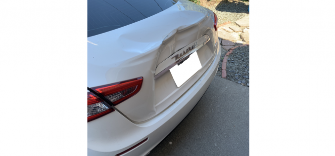 Motorist allegedly retaliates against pedestrian by striking him and his dog with car