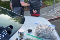 Napa juvenile with a loaded gun and drugs