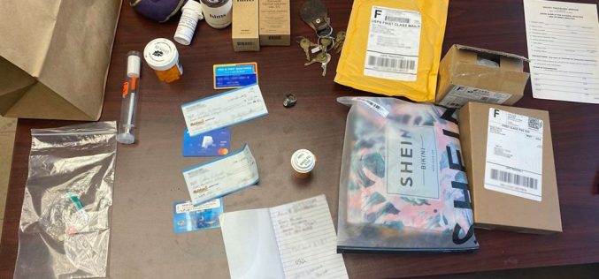 Suspicious vehicle harbors thief and stolen property