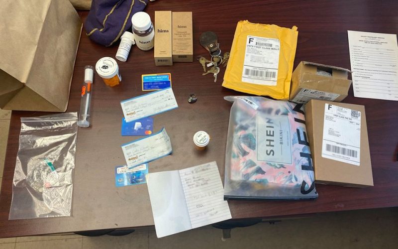 Suspicious vehicle harbors thief and stolen property