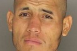 40 Minutes of Freedom Earns Another Arrest