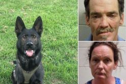 K9 Ziden helps sniff out narcotics from Ione pair