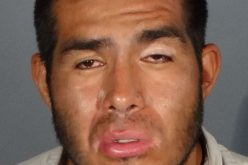 Covid-19 Dozen+ Re-Arrest-and-Release Car Thefts