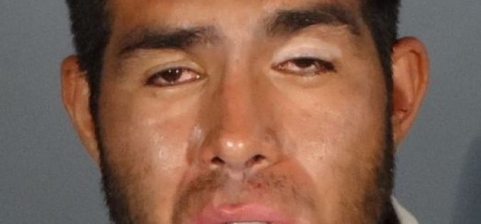 Covid-19 Dozen+ Re-Arrest-and-Release Car Thefts