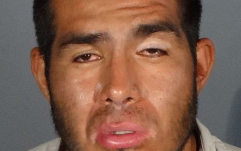 Covid-19 Dozen+ Re-Arrest-and-Release Car Thefts