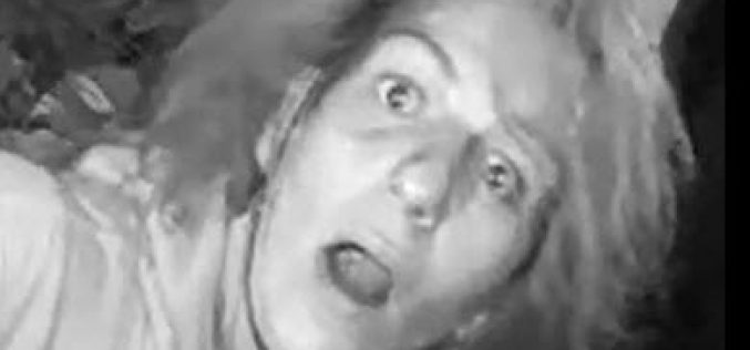 Animal-Cruelty Arrest – Woman Abducts Kitten, Kills it with Bug Spray