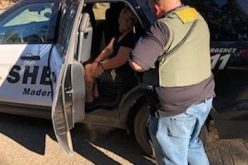 Five month theft investigation leads to Angel’s arrest