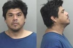 Intoxicated man tries to fight deputy and his K-9 partner