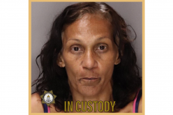 Sacramento County woman allegedly set sister’s dog on fire