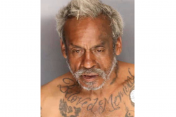 Stockton man accused of assaulting wife, stabbing Sheriff’s K-9 during arrest