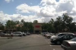 Man Tries to Steal Basket of Groceries from Von’s, Arrested