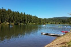 Search for one burglary suspect results in two arrests