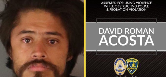 GOOD SAMARITAN STEPS IN TO HELP