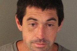 Parolee nabbed with meth, gun, ammo