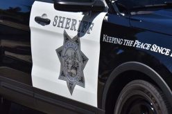 Brotherly Road-Rage/Robbery Duo Wreak Mayhem and Destruction