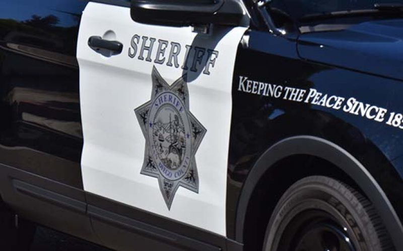 Brotherly Road-Rage/Robbery Duo Wreak Mayhem and Destruction