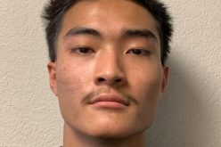 Arrests made in homicide investigation