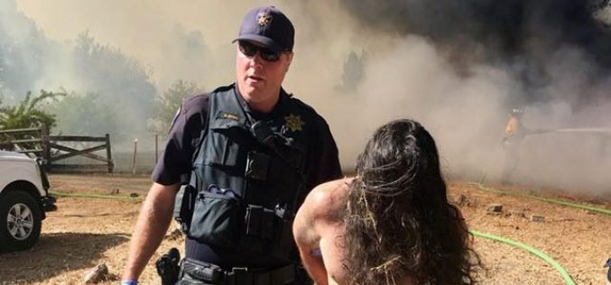 Suspect arrested after crashing allegedly stolen car