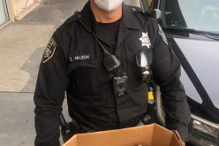 Man Walking Around with Live Animals is Arrested after a Pet Shop Burglary