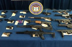 Major Gang Operation Nets 31 Arrests Including 11 Individuals Charged with Murder