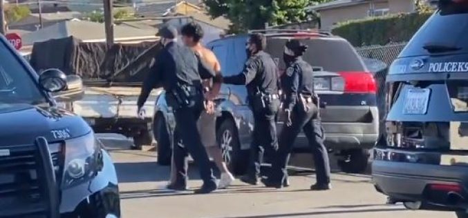 Good Samaritan Saves an Intruder Wielding a Foot-Long Knife in Her Kitchen