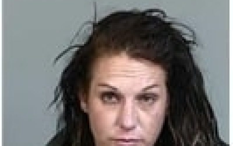 Officer and Deputy make drug arrest