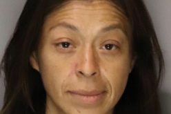 Burglary and stolen vehicle arrests in Galt