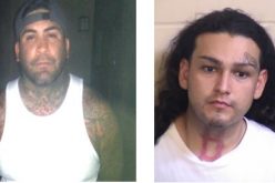 Traffic Stop Leads To One Less Gun On The Streets