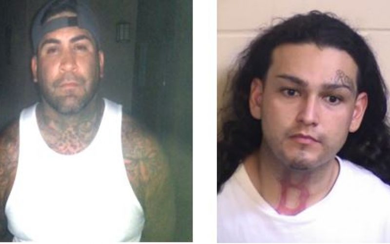 Traffic Stop Leads To One Less Gun On The Streets