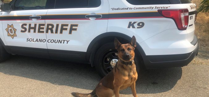 Deputies: “Ghost” AR-15 found during K-9 search of vehicle