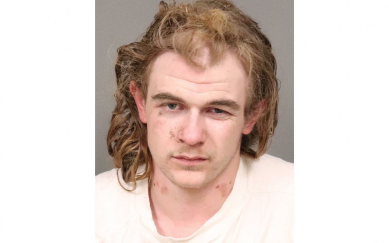 SLO-area transient arrested after alleged machete attack