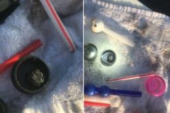 Reckless driver carrying drugs and paraphernalia