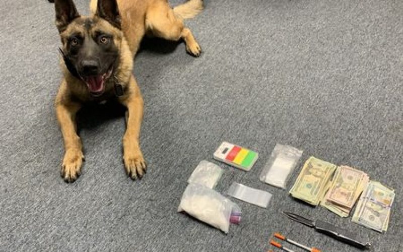 K-9 hard work leads to arrest
