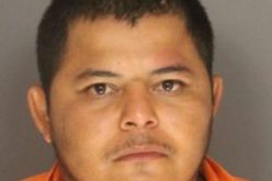 Eight Felonies Charged in Sexual Assault