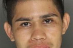 Attempted Robbery Arrest at deli