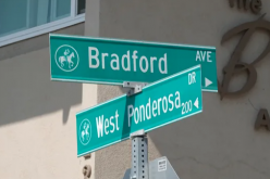 Failed Attempt at Suicide by Cop